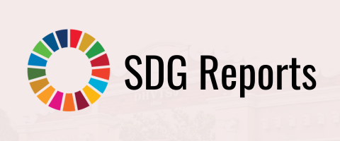 SDG Report